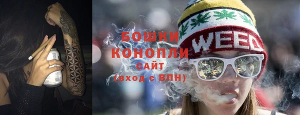 крисы Богородск