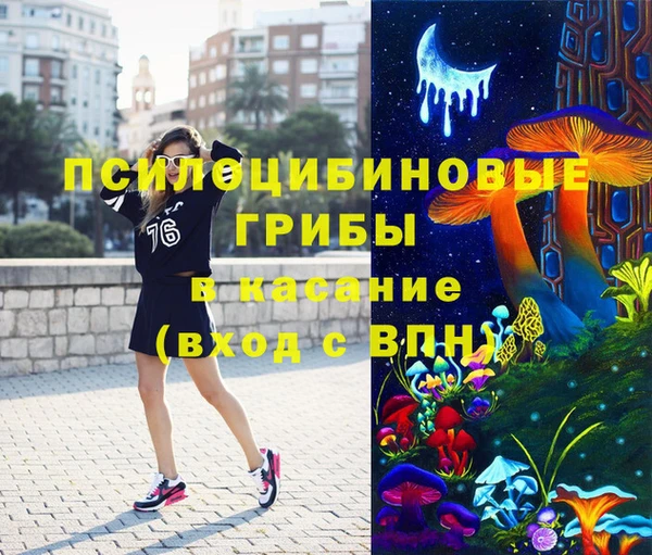 крисы Богородск