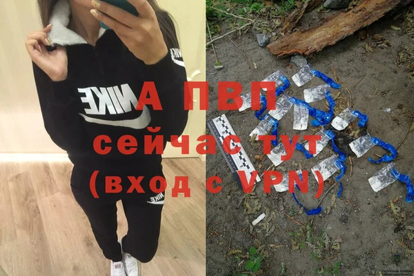крисы Богородск