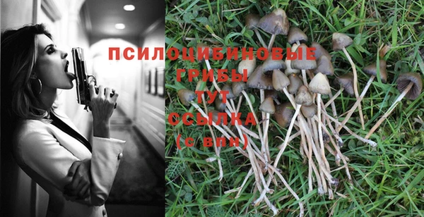 СК Богданович